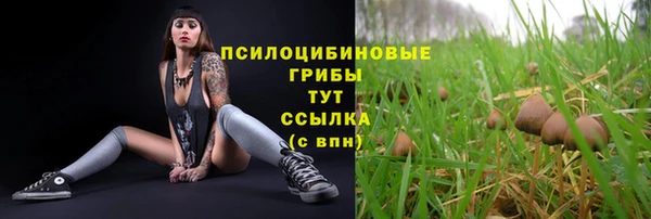 СК Каменка