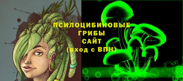 СК Каменка