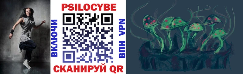 закладка  Зерноград  Галлюциногенные грибы прущие грибы 