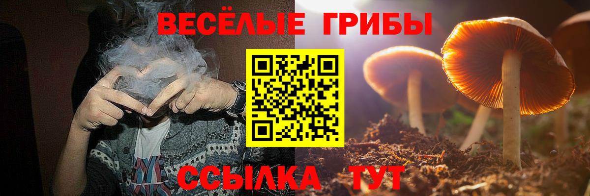 Псилоцибиновые грибы ЛСД  Галлюциногенные грибы мухоморы  наркота  Зерноград  Вход с VPN 