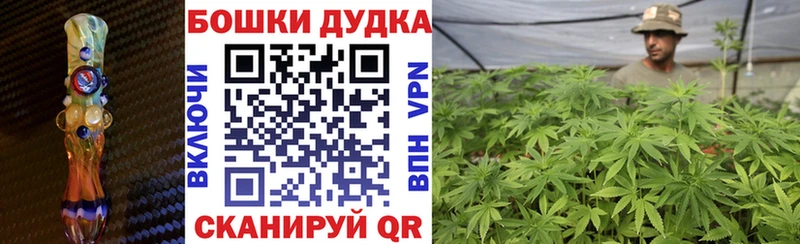 Канабис семена цена Зерноград